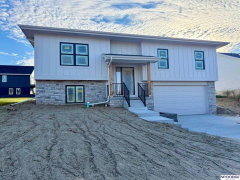 Photo of 3813 Appaloosa Drive, Elkhorn, NE 68022 (MLS # 22528206)
