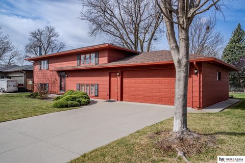Photo of 121 S William Avenue, Fremont, NE 68025 (MLS # 22608483)