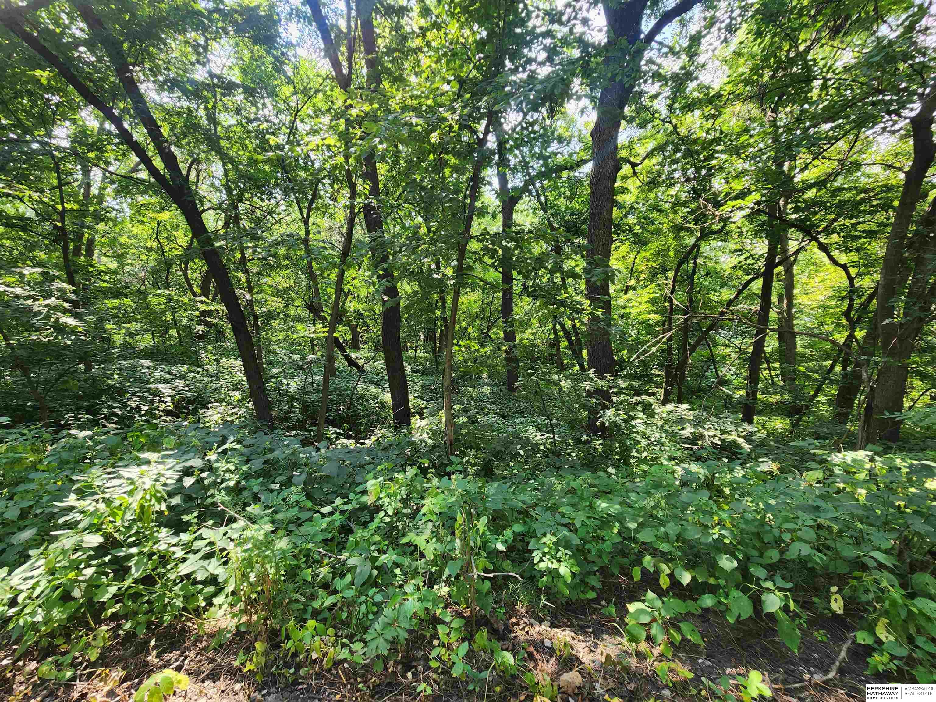 Plattsmouth, Nebraska 68048, United States, ,Land,Active,172555