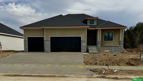 Photo of 12387 Windsor Drive, Papillion, NE 68046 (MLS # 22607983)