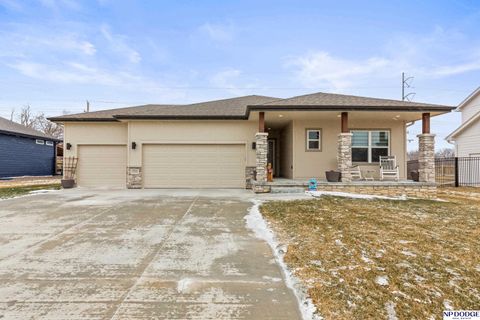 Photo of 10452 S 113th Street, Papillion, NE 68046 (MLS # 22607139)