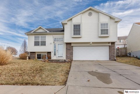 Photo of 7907 Vernon Avenue, Omaha, NE 68134 (MLS # 22603685)