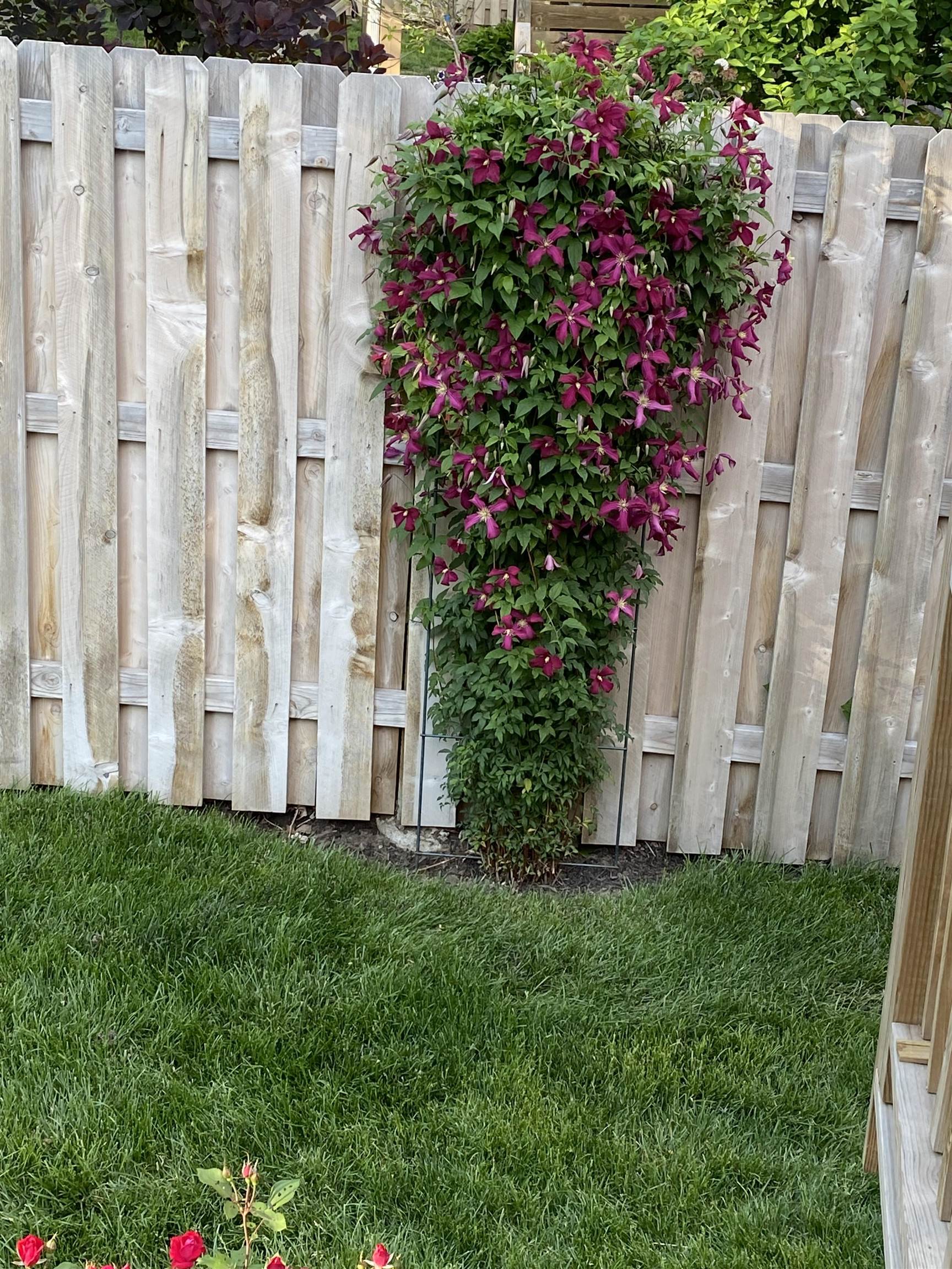 Omaha, Nebraska 68118, United States, 3 Bedrooms Bedrooms, ,3 BathroomsBathrooms,Residential,Active,141160