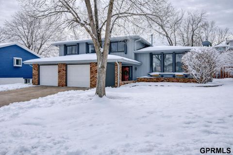 Photo of 2917 Daniell Circle, Bellevue, NE 68123 (MLS # 22605313)