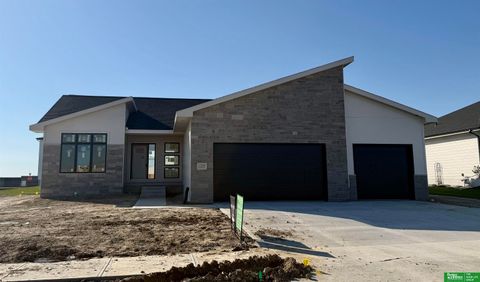 Photo of 12359 Lake Vista Drive, Papillion, NE 68046 (MLS # 22611638)