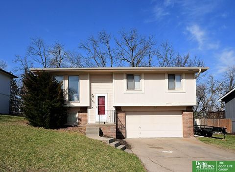 Photo of 302 Fort Street, Papillion, NE 68146 (MLS # 22608665)