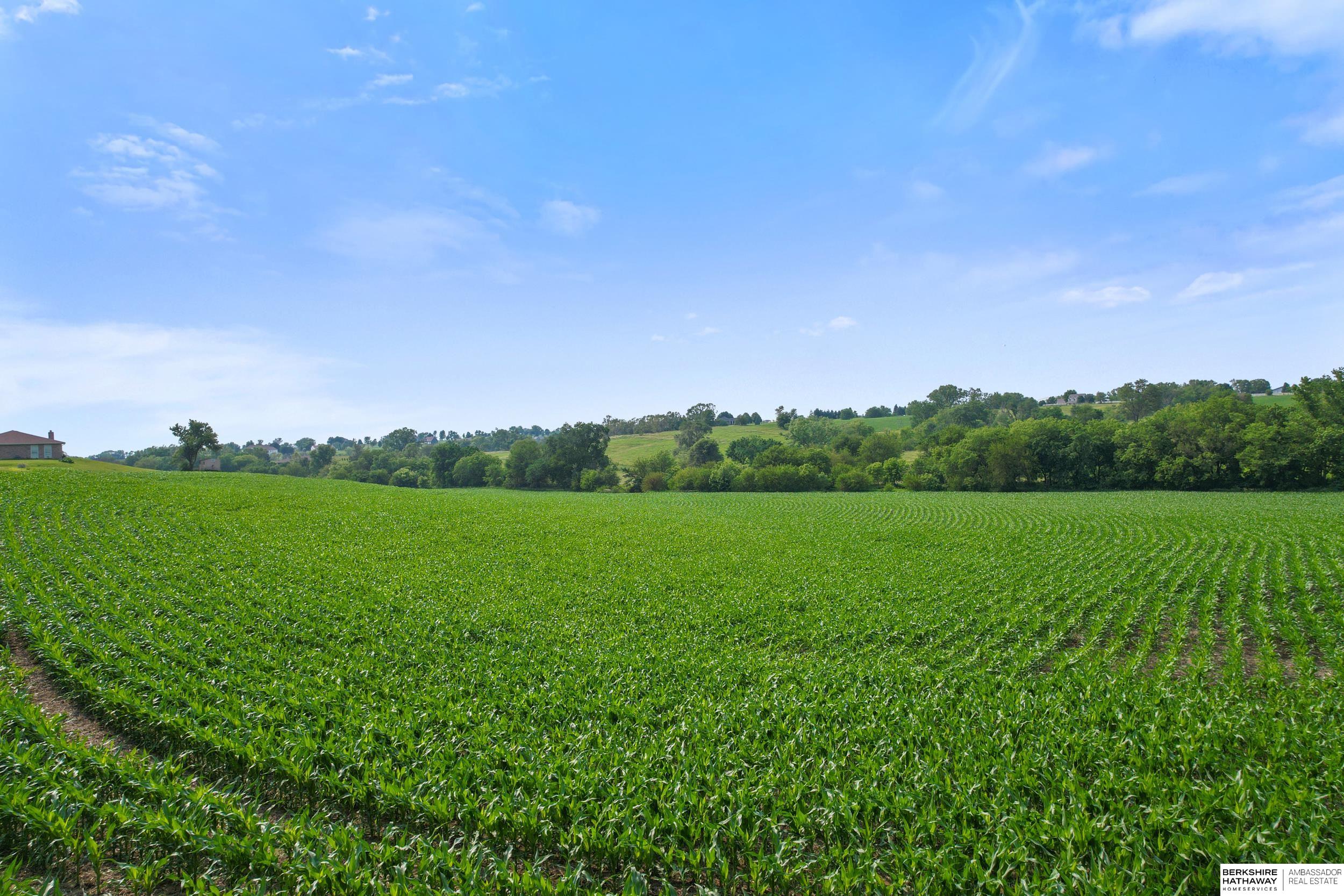 Gretna, Nebraska 68028, United States, ,Land,Active,158624