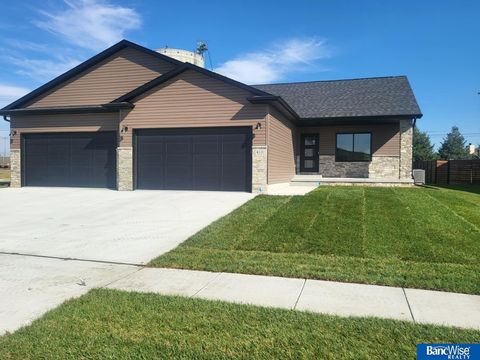 Photo of 410 Lou Drive, Hallam, NE 68368 (MLS # 22528198)
