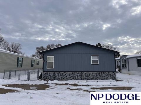 Photo of 12337 Rose Drive, Blair, NE 68008 (MLS # 22534778)
