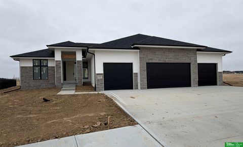 Photo of 19513 Ellison Avenue, Elkhorn, NE 68022 (MLS # 22608836)