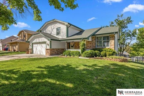 Photo of 1418 Cherry Tree Lane, Papillion, NE 68133 (MLS # 22614279)