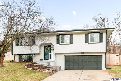 Photo of 12742 Fowler Circle, Omaha, NE 68164 (MLS # 22607834)