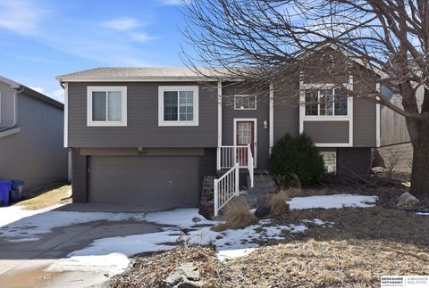 Photo of 18681 Allan Street, Omaha, NE 68135 (MLS # 22605896)