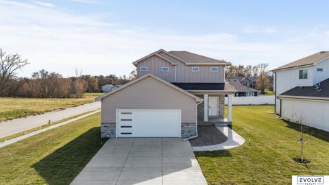 Photo of 923 Arlene Circle, Papillion, NE 68046 (MLS # 22533042)