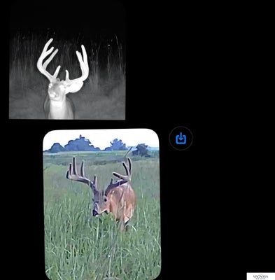 ADDRESS PRIVATE, NEMAHA, NE 68414 - Image 4e4bbdc5764f9f09164f0c2ea7470f73/3475304601