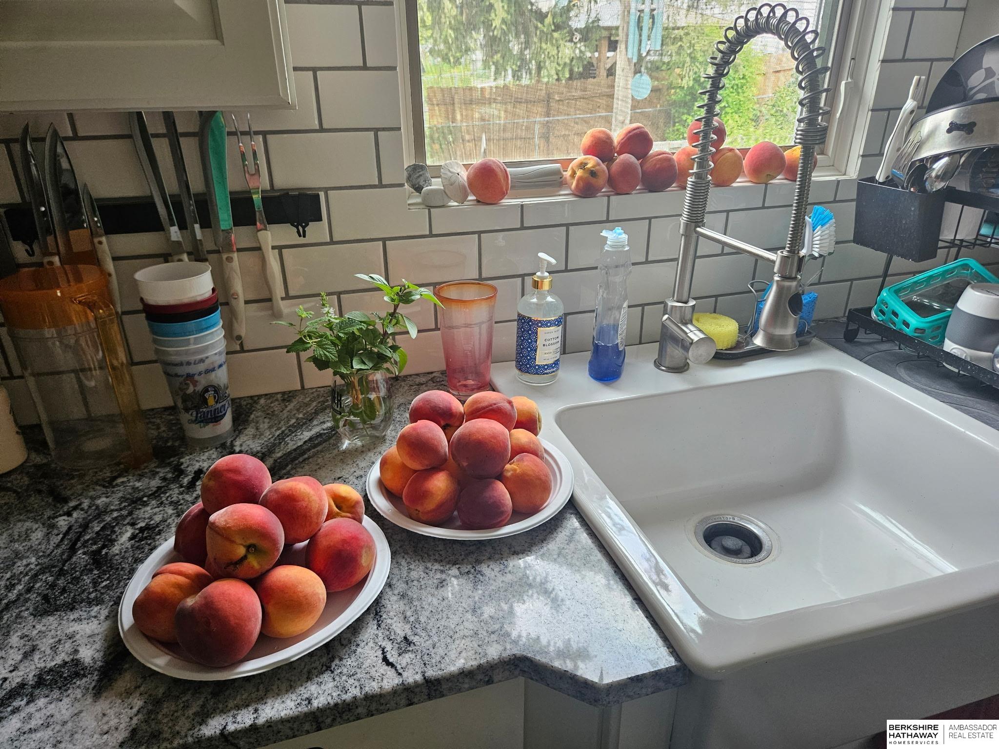 Omaha, Nebraska 68106, United States, 3 Bedrooms Bedrooms, ,2 BathroomsBathrooms,Residential,Active,236797