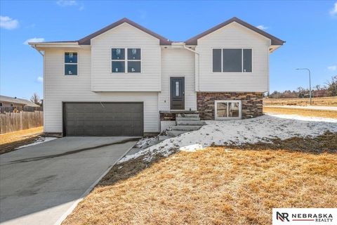 Photo of 1351 Poulson Drive, Blair, NE 68008 (MLS # 22606831)