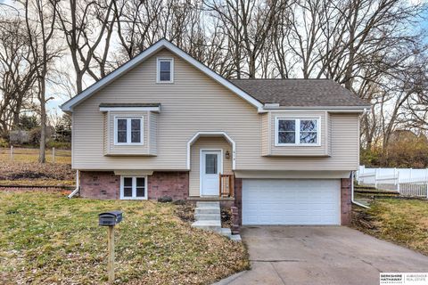 Photo of 618 Margaret Lane, Plattsmouth, NE 68048 (MLS # 22535047)