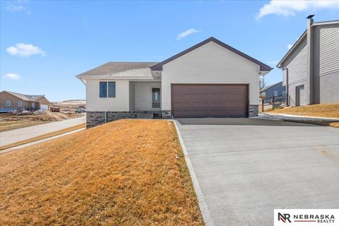 Photo of 1423 Poulson Drive, Blair, NE 68008 (MLS # 22606670)