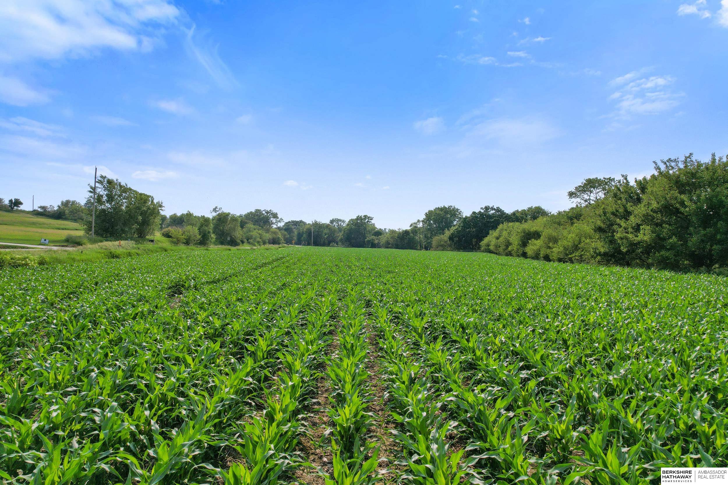 Gretna, Nebraska 68028, United States, ,Land,Active,163591