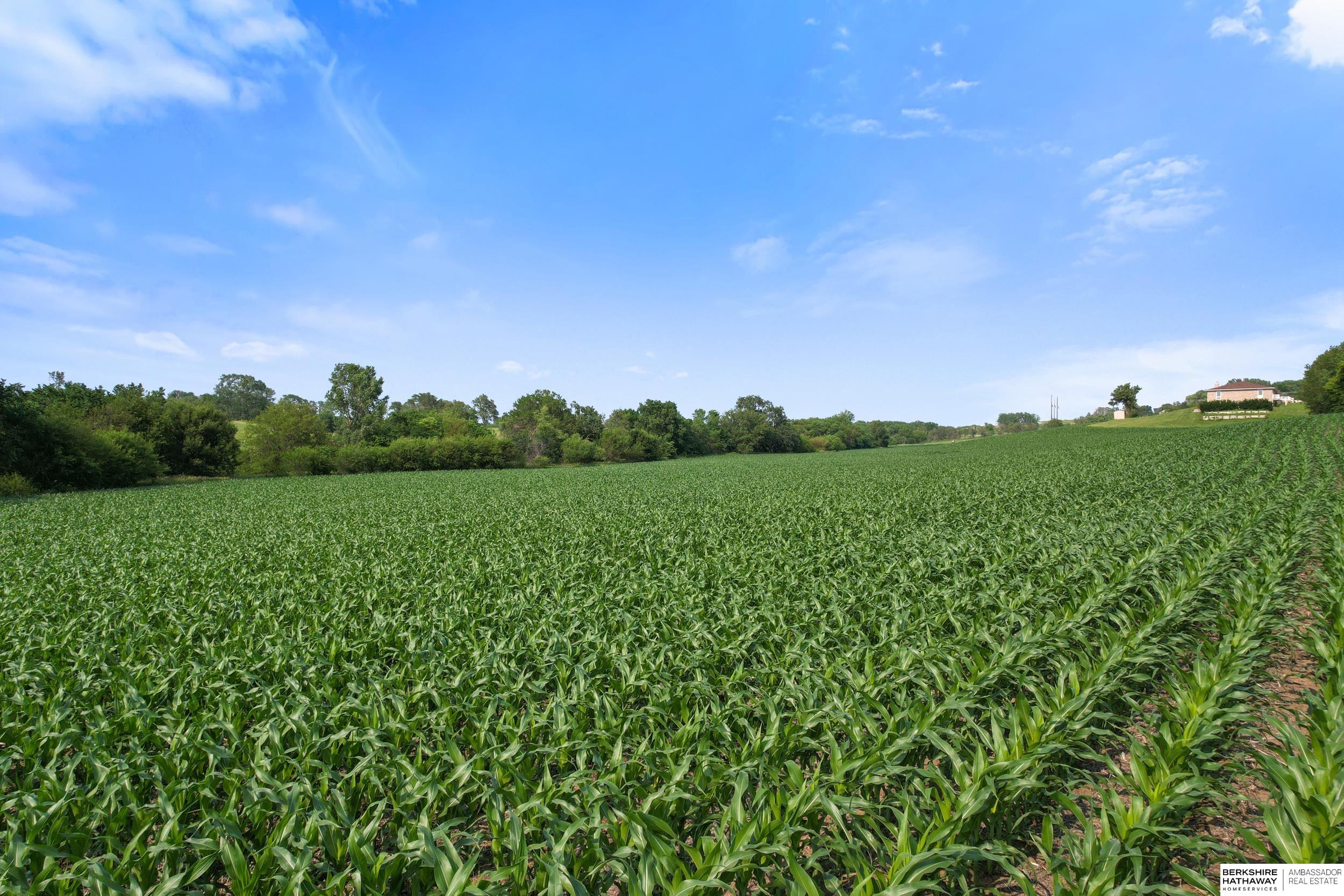 Gretna, Nebraska 68028, United States, ,Land,Active,163591