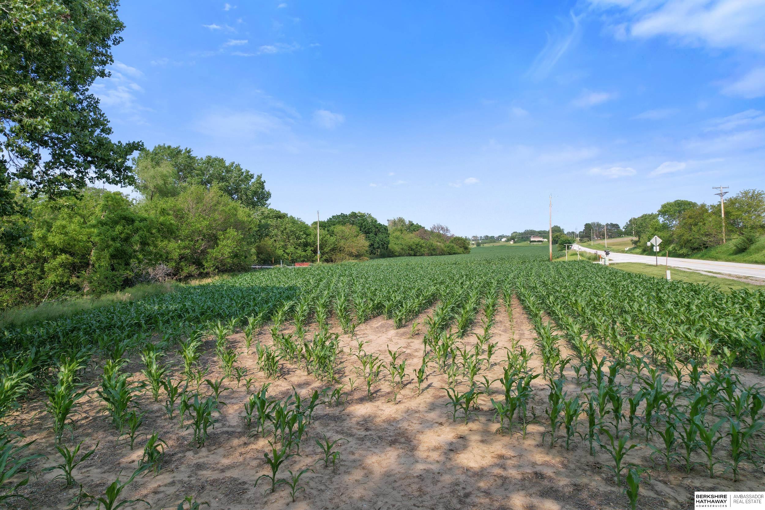 Gretna, Nebraska 68028, United States, ,Land,Active,163591
