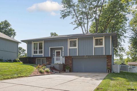 Photo of 2210 N 141st Avenue, Omaha, NE 68164 (MLS # 22522208)