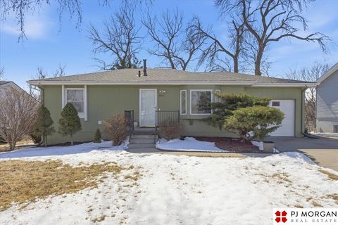 Photo of 9335 Corby Street, Omaha, NE 68134 (MLS # 22605095)