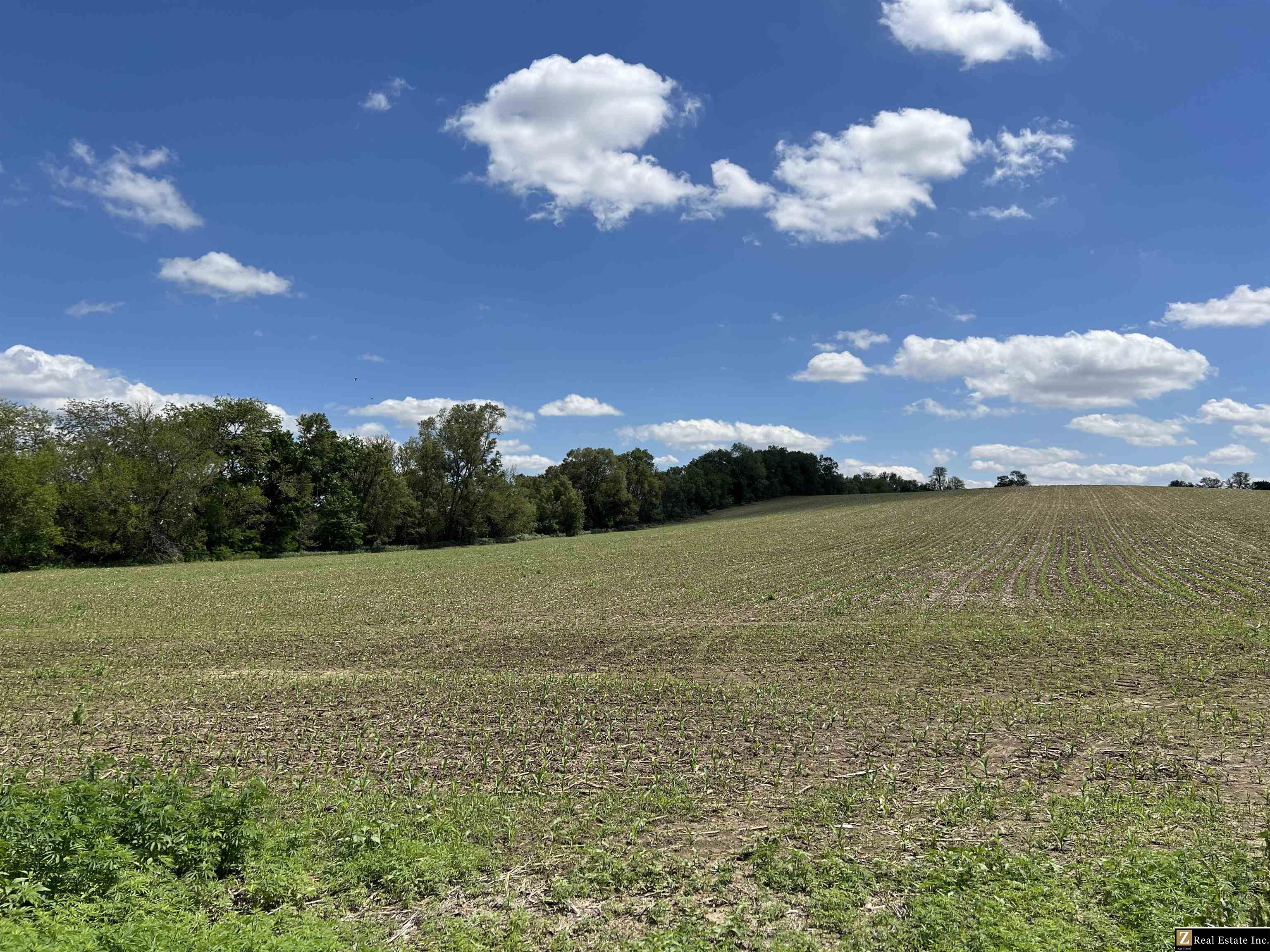Photo 1 of 11 — Parcel 6 Spring Saunders County Acreages County Road, Yutan, NE 68073