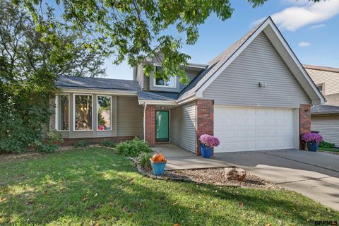 Photo of 766 N 155Th Avenue, Omaha, NE 68154 (MLS # 22529357)