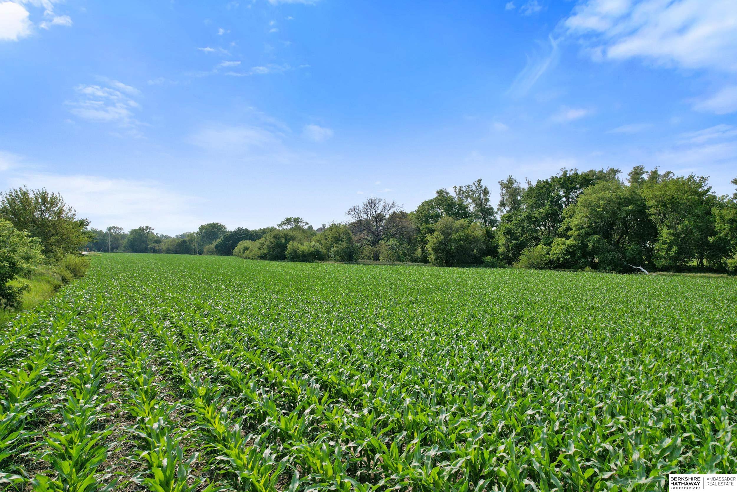 Gretna, Nebraska 68154, United States, ,Land,Active,155910