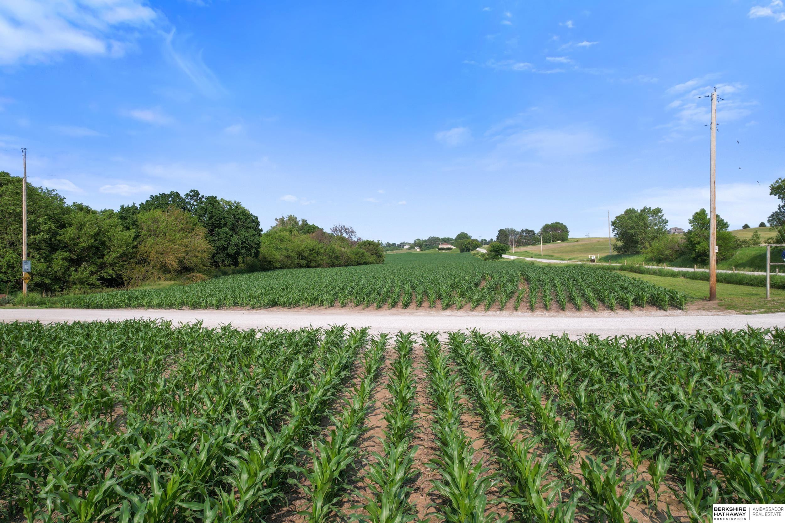 Gretna, Nebraska 68154, United States, ,Land,Active,155910