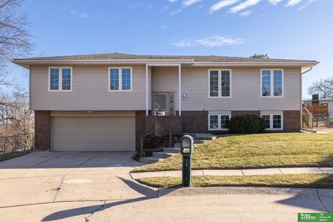 Photo of 12133 Burdette Circle, Omaha, NE 68164 (MLS # 22601631)