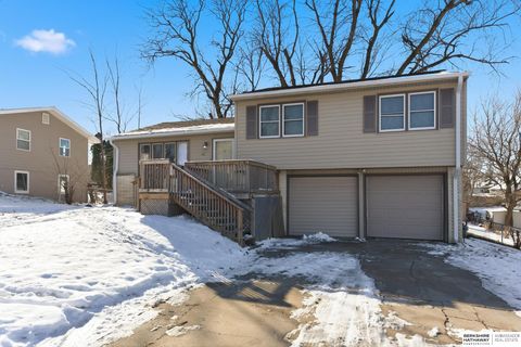 Photo of 1217 Sunset Drive, Bellevue, NE 68005 (MLS # 22534264)