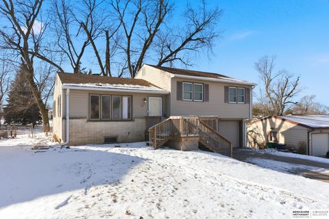 Photo of 1217 Sunset Drive, Bellevue, NE 68005 (MLS # 22534264)