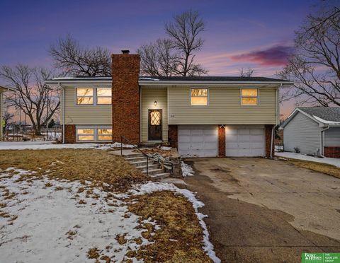 Photo of 4116 N 101 Street, Omaha, NE 68134 (MLS # 22605013)