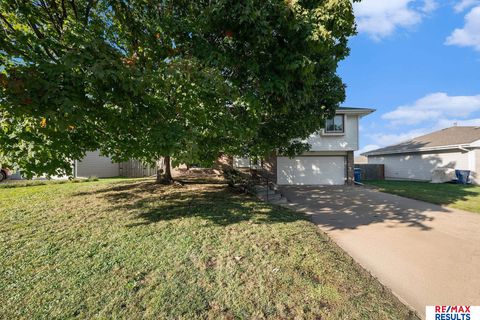 Photo of 912 Bordeaux Avenue, Bellevue, NE 68123 (MLS # 22529125)