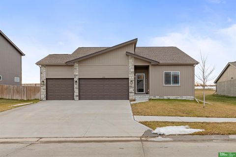Photo of 13512 S 55 Street, Papillion, NE 68133 (MLS # 22535188)