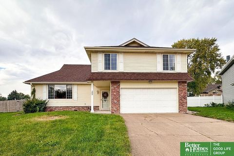 Photo of 3006 S 147 Circle, Omaha, NE 68144 (MLS # 22534121)