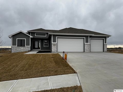 Photo of 10312 Sherman Street, Papillion, NE 68046 (MLS # 22513485)