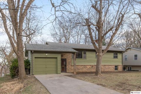 Photo of 1603 Washington Street, Bellevue, NE 68005 (MLS # 22535419)