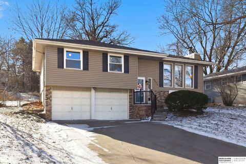 Photo of 8225 Sprague Street, Omaha, NE 68134 (MLS # 22600072)