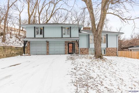 Photo of 1113 S 16 Avenue, Blair, NE 68008 (MLS # 22607058)