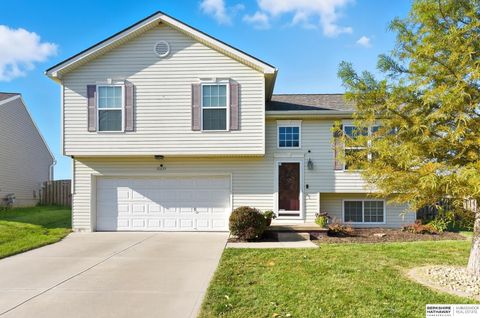 Photo of 15439 Davidson Street, Bennington, NE 68007 (MLS # 22528116)