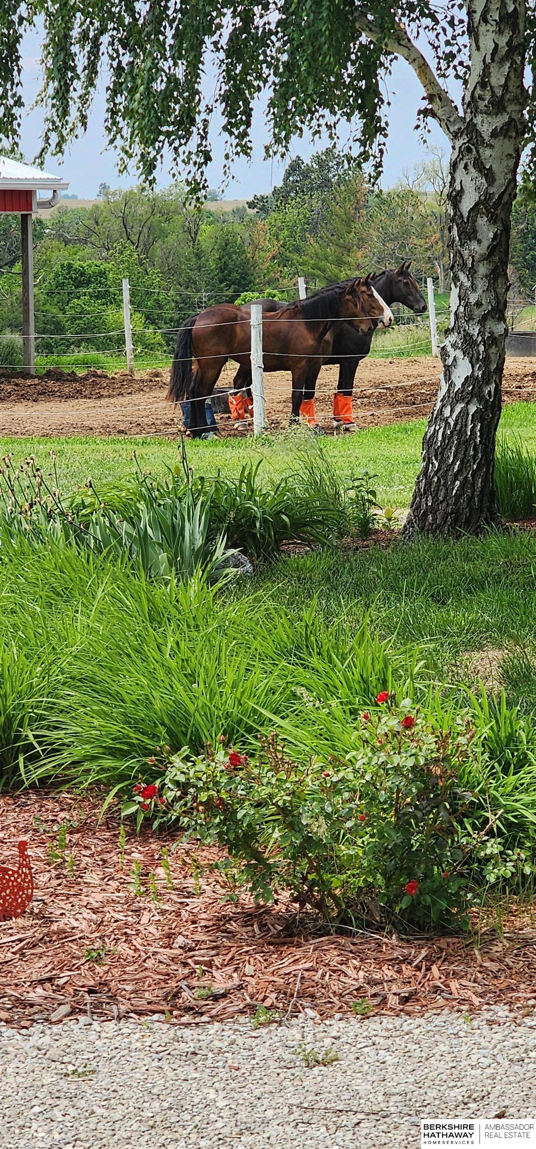 Herman, Nebraska 68008, United States, 4 Bedrooms Bedrooms, ,3 BathroomsBathrooms,Residential,Active,141970