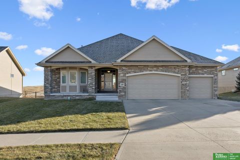 Photo of 12007 Pintail Drive, Papillion, NE 68046 (MLS # 22601608)