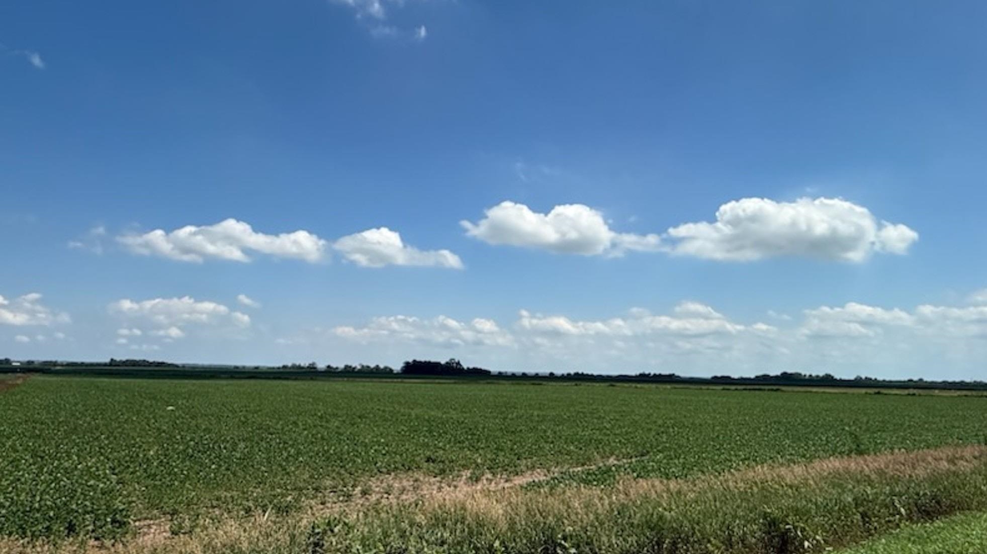 Yutan, Nebraska 68073, United States, ,Land,Active,174667