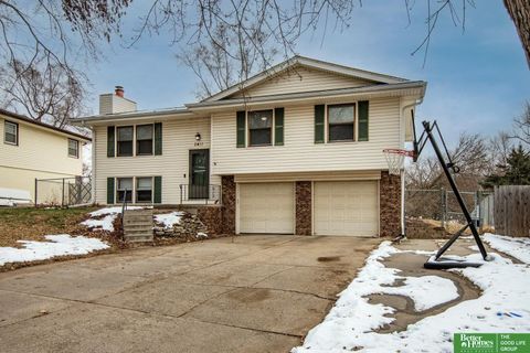 Photo of 2411 N 141st Avenue, Omaha, NE 68164 (MLS # 22534531)