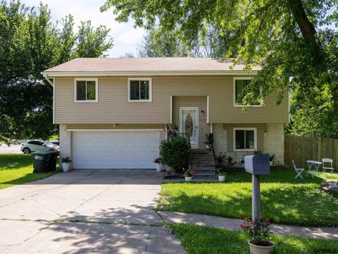 Photo of 4523 Aurora Drive, Omaha, NE 68134 (MLS # 22517974)