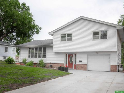Photo of 511 N Grandview Avenue, Papillion, NE 68046 (MLS # 22614319)